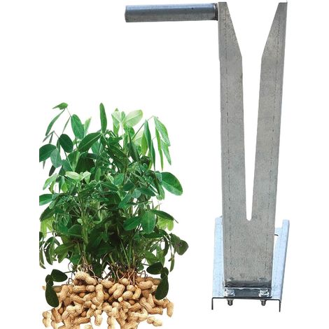 Outil de cueillette de noix - Outil de picking portable - (1/5)