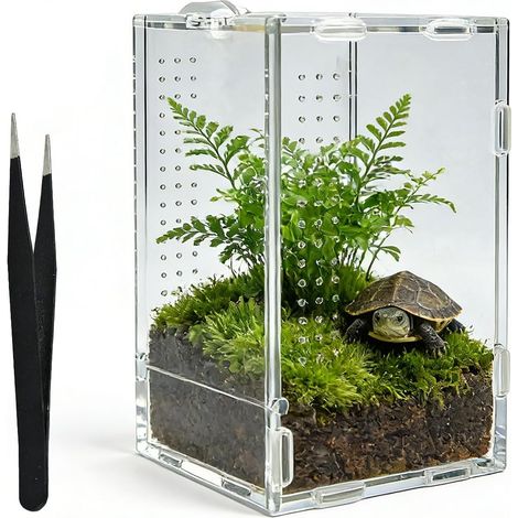 Faunarium Terrarium en acrylique - Petit - 20 x 12 x 12 cm - Portable - Avec pince à épiler - Escargots - Terrarium transparent - Mini terrarium pour araignées, grenouilles, reptiles, insectes (1/5)