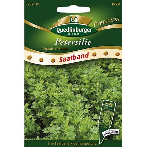 Quedlinburger Saatgut – Persil plat « Gigante d'Italia » – Ruban de semis de 6 mètres, graines d'herbes aromatiques, bisannuel