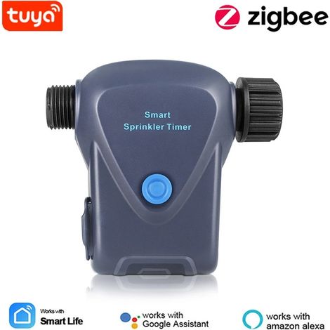 Tuya Temporizzatore per Irrigazione Smart ZigBee con Contatore Acqua Integrato (1/5)
