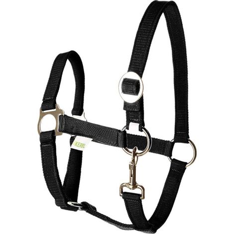 Licol écurie équitation randonné design classic robuste bouclerie inox têtière réglable cheval poney (1/3)