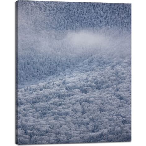 Stampa su tela Natura Foresta innevata 40x50 cm