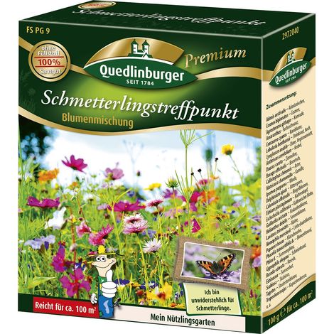 Quedlinburger Saatgut – Mélange de fleurs « FS Schmetterlingstreffpunkt » – Graines de fleurs pour papillons, env. 100 m² (1/2)