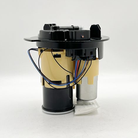 BIEMMEDUE-  Kraftstoffpumpe A2224700094 kompatibel mit den neuen Mercedes-Benz 222S, S500 und S550 (1/4)