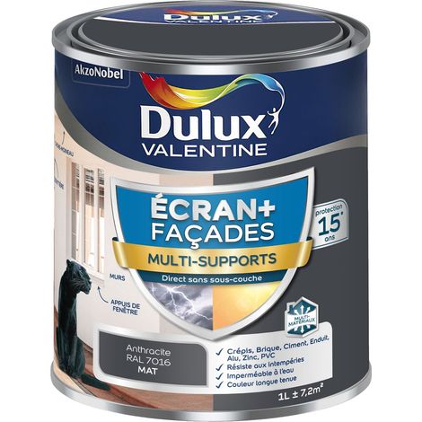 Peinture Ecran+ Multi-Supports Façade - protection 15 ans sur 15 matériaux - Mat Gris Anthracite 1 L