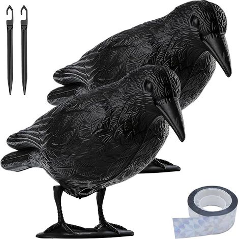 Corbeau Anti-Pigeon Anti Pigeons Anti Oiseaux Repousser (1/5)