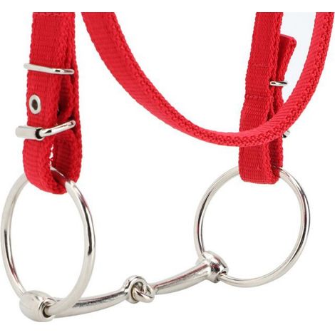 Harnais de de cheval rouge, rênes réglables et amovibles avec rembourrage de coussin doux pour l'entraînement d'équitation (1/4)