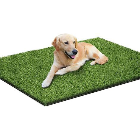 Herbe Artifici pour Chiens Faux Herbe pour Chiots Potty Training Réaliste Intérieur Et Extérieur Gazon Artificiel avec Coussinet en Caoutchouc Antidérapant (S:50 x 70 cm) (1/5)