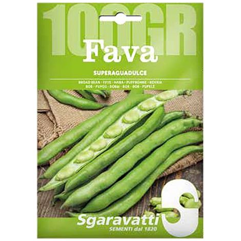 SEMI PER FAVE fava superaguadulce - gr 250