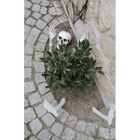 Decorazione Scheletro Ossa Teschio Mani Gambe 5 pezzi. (1/5)
