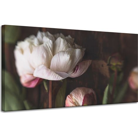 Lienzo impreso Botánica Flor Peonías 120x60 cm Ramo de flores Flora