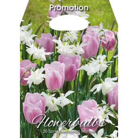 Mix Bulbi da Fiore Sensazione Primavera Tulipani e Narcisi 20 Bulbi