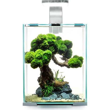 Aquael Shrimp Set Smart Day&Night Bianco 10 litri cm20x20x25h (1/2)