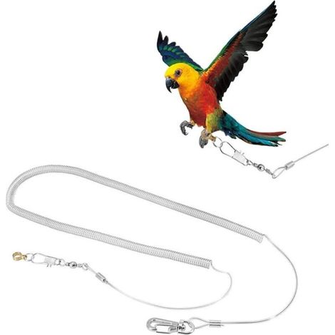 6M Oiseau Perroquet Volant Corde Réglable Anti-Morsure Volant Corde D'entraînement Laisse Oiseaux Harnais Corde Pet Traction Extérieure pour Cacatoès Perruche Calopsitte (Foot Ring Dia. 4.5mm)