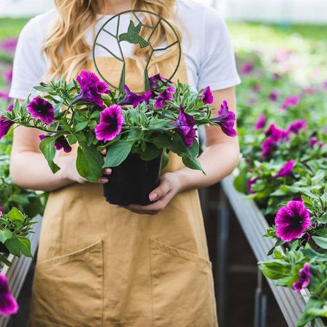Support Grillage en Fer Anti-Rust pour Plantes Grimpantes avec Design en Bird Vert (1/5)