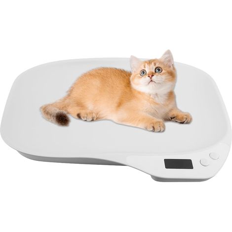 Balance numérique pour petits animaux, balance numérique pour animaux de compagnie 15 kg (±1 gramme), balance numérique pour chats LCD, mini balance avec écran LCD, balance numérique pour bébé (1/5)
