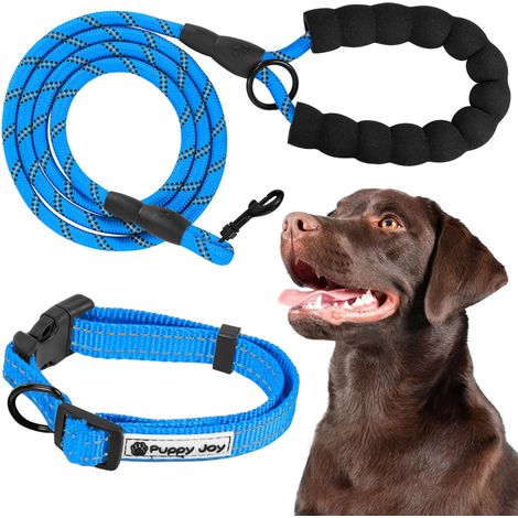 LEASH AND COLLAR TUTUMI PJ-037 BLUE
