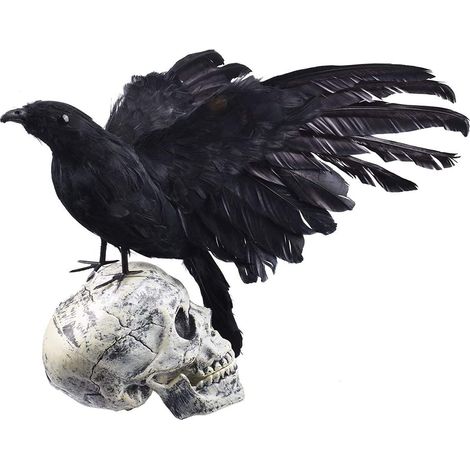 Corbeau Décor Halloween Réaliste à Plumes pour Décoration de Fête et Maison Hantée (1/5)