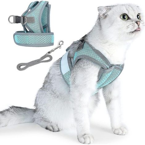 Katzengeschirr und Leine im Set, weiche und verstellbare Ausbruchschutzweste, atmungsaktiv, leicht und einfach zu handhaben, ideal für Spaziergänge im Freien – Größe L – Blau (1/5)