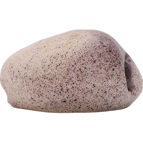 Cache-clés extérieur en résine, fausse pierre réaliste imperméable, compartiment secret pour jardin, rangement discret et sécurisé (1/5)
