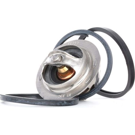 Gates TH13783G1 7412-10222 Termostati,