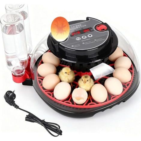 Incubateur oeufs Automatique pour Poules, Pouvant Accueillir Jusqu'à 12 œufs, Couveuse d'œufs Entièrement avec Retournement, Éclairage et Contrôle de l'Humidité. (1/5)