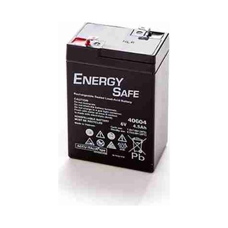 Batterie VRLA AGM au plomb Energy Safe Series 6 V 4,5 Ah C20 (F1)