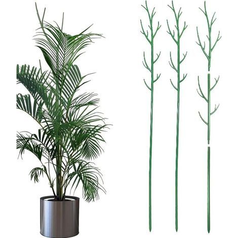 Lot de 3 Tuteur Supports pour Plantes Grimpantes et Fleurs Vert Aidez Vos Plantes à Pousser, Hauteur 100cm, Tuteurs Tomates Jardi (1/4)