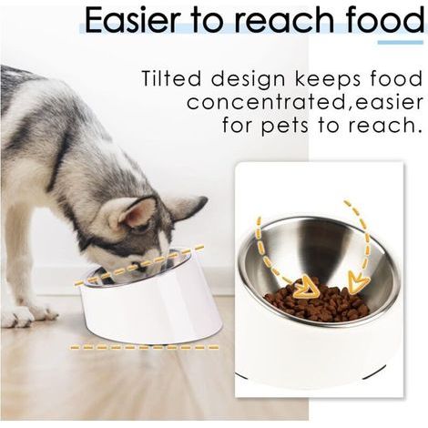 Gamelle inclinée 15° pour chien/chat – Bol antidérapant anti-renversement, taille M (13 cm), couleur blanc (1/3)