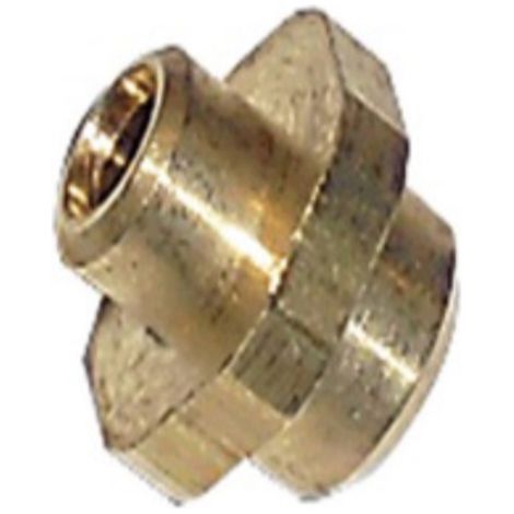 Inyector piloto caldera Vaillant GN (paso 0,30)