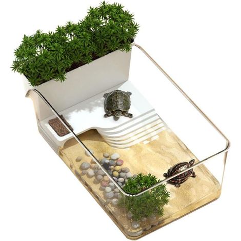Aquarium für Schildkröten - Transparentes Terrarium für Schildkröten (1/5)