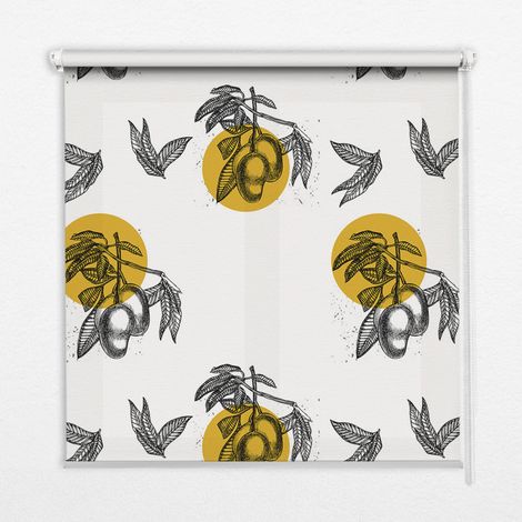Tenda a Rullo Interna per Finestra - Tenda Filtrante Luce - Tenda Privacy - Tenda Decorativa Rettangolare - Rullo per Interni - (100 cm x 140 cm) - Frutta e cerchi gialli