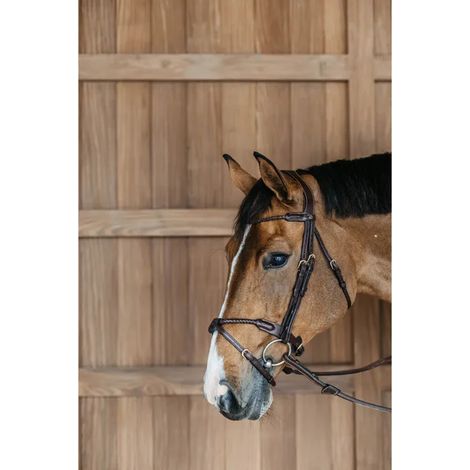 Briglia dy'on anatomical round braided noseband design anatomico staccabile (1/3)