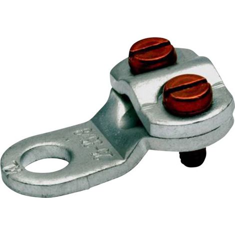 Klauke 573R6 Capocorda ad anello 2 viti Sezione Max=16 mm² Ø foro=6.5 mm Non isolato Metallo 1 pz.