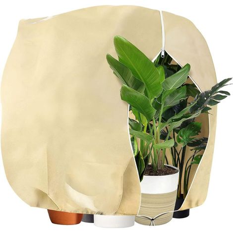 Housse De Protection Pour Plantes - Voile D'hivernage Non Tissé 80 G/m2 - 120 X 180 Cm - Pour Palmiers Arbustes Et Plantes En Pot - 1 Pièce
