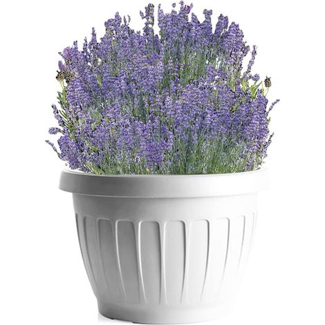 BAMA VASO DA TERRA IN PLASTICA ROTONDO 40 CM COLORE BIANCO (1/10)