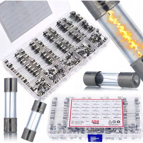 Caja de fusibles WTA FuseBox Pro 250 - Juego de 250 fusibles de vidrio  250 V  1 A-20 A  5 x 20 mm + 6 x 30 mm  Tipo rápido WTA  Organizador con compartimentos (1/5)