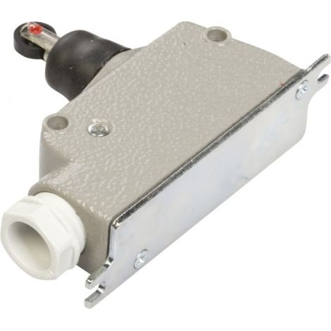 Interruptor de fin de carrera 1R 1Z en carcasa con pulsador con rodillo longitudinal LM-10R W0-59-251082