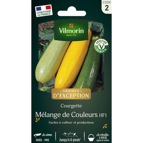 Courgette Mélange de Couleurs - Graines d'Exception Vilmorin (1/3)