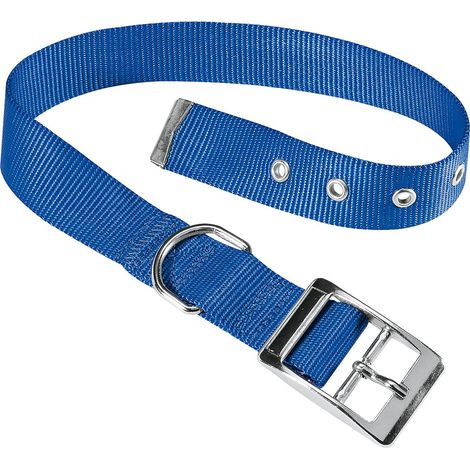 Ferplast CLUB CF Collare in nylon con fibbia di chiusura in metallo - in vari colori e misure. Variante CF20/43 - Misure: A: 35-43 cm B: 20 mm - Blu (1/2)