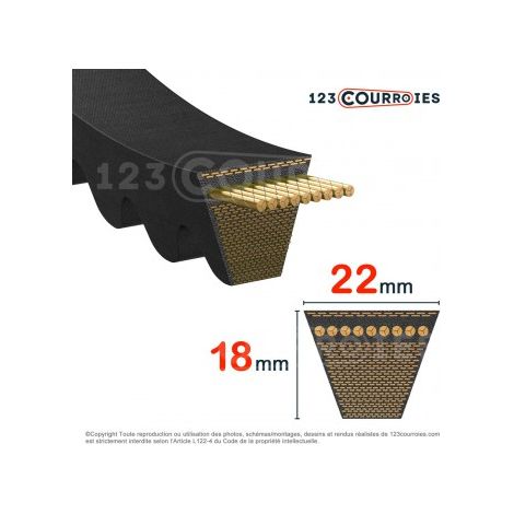 Courroie trapézoidale crantée Optibelt Super X Power XPC2650 Lw