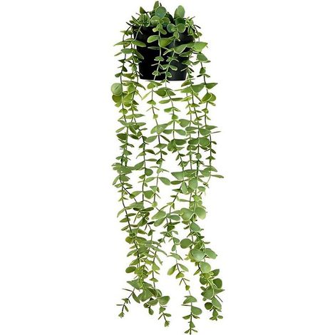 Plante verte artificielle tombante 56 cm – Eucalyptus décoratif en pot, pour décoration intérieure et extérieure (1/5)