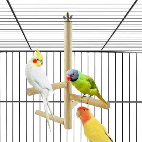 Perchoirs pour perroquets en cage, accessoires pour cage à oiseaux, support pour perroquet, échelle en bois, jouets pour perruches ondulées