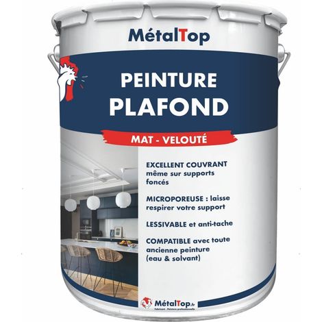 Peinture Plafond - Pot 1 L - Metaltop (1/5)