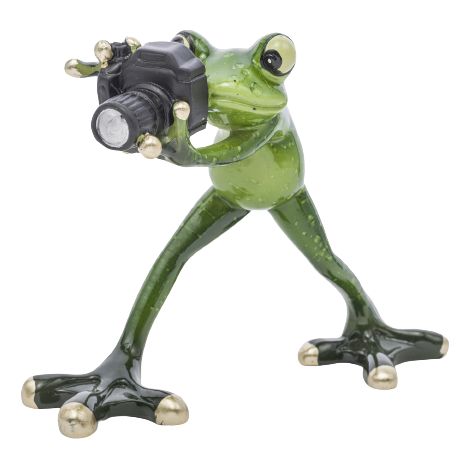 Froschfotografen-Figur 12 x 15 x 7 cm (1/5)