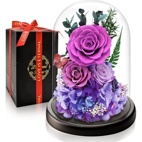 Rose Eternelle Préservée, Fleur Violettes Cadeau pour Noel, Saint-Valentin pour Femmes, Idee Rosee Cadeau Anniversaire Femme pour Elle, Maman Amie Épouse Sœur Mamie, Cadeaux Amour Fete des Meres (1/5)