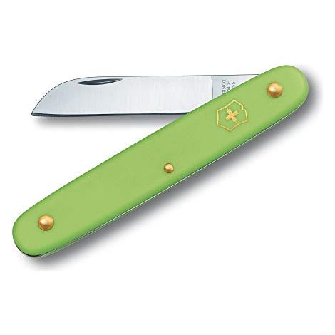 Coltello Victorinox Swiss Army per tagliare i fiori, bordo resistente in acciaio inossidabile di 5,5 cm, manico in nylon di 10 cm, colore verde chiaro (1/4)