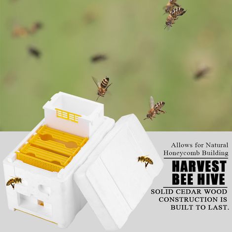 Ruche Harvest Bee Hive, boîte à pollinisation King Box, outil apicole (1/5)