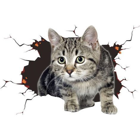 Sticker Voiture, Stickers De Voiture 3D, Stickers voiture chat, Stickers chat, Décoration De Voiture, Stickers voiture personnalisé(18 x 13cm) (1/5)