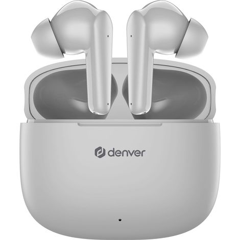 TWE-48GR Echt kabellose Bluetooth-Kopfhörer mit Ladeetui (1/5)